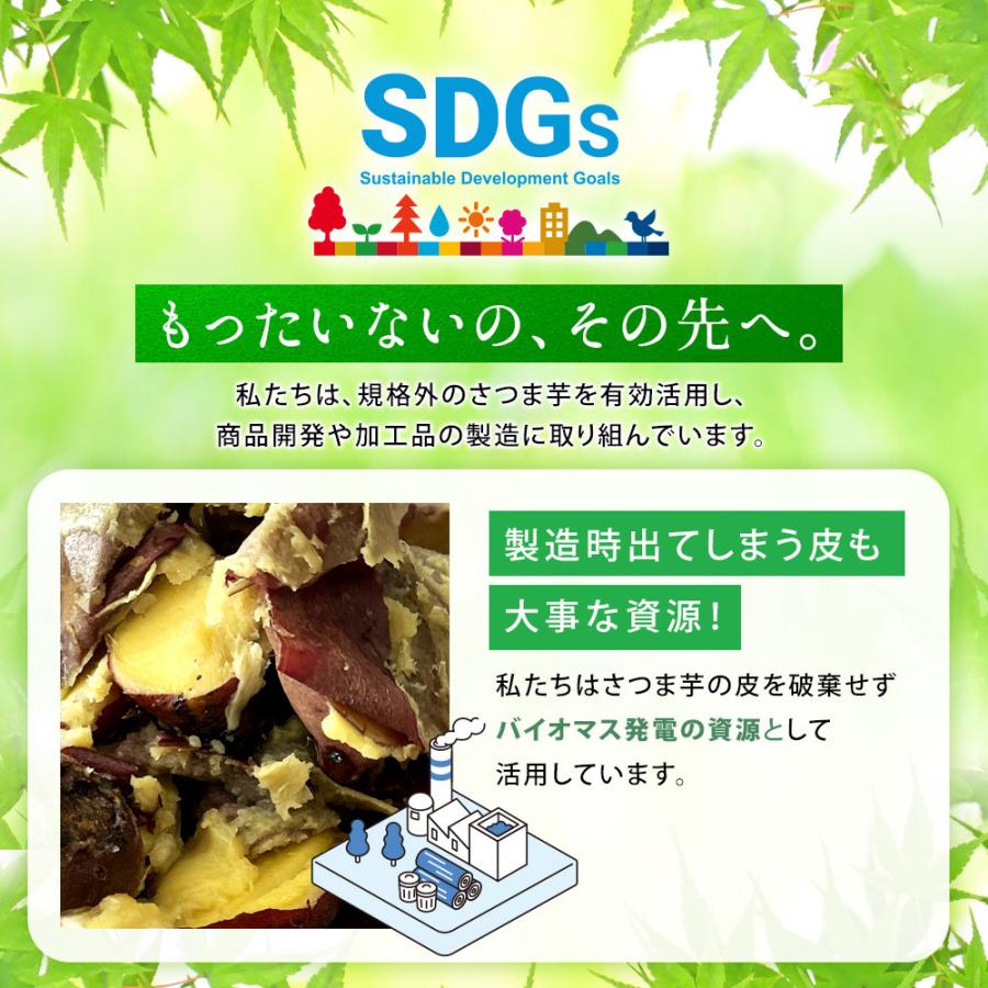 美むら ＼工場直売／国産 訳あり干し芋 600g(300g×2袋) 紅はるか 訳