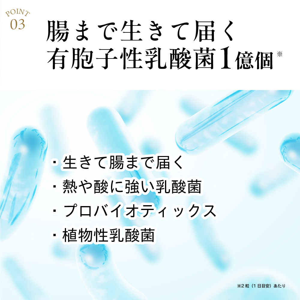 “アクティブ酵素”