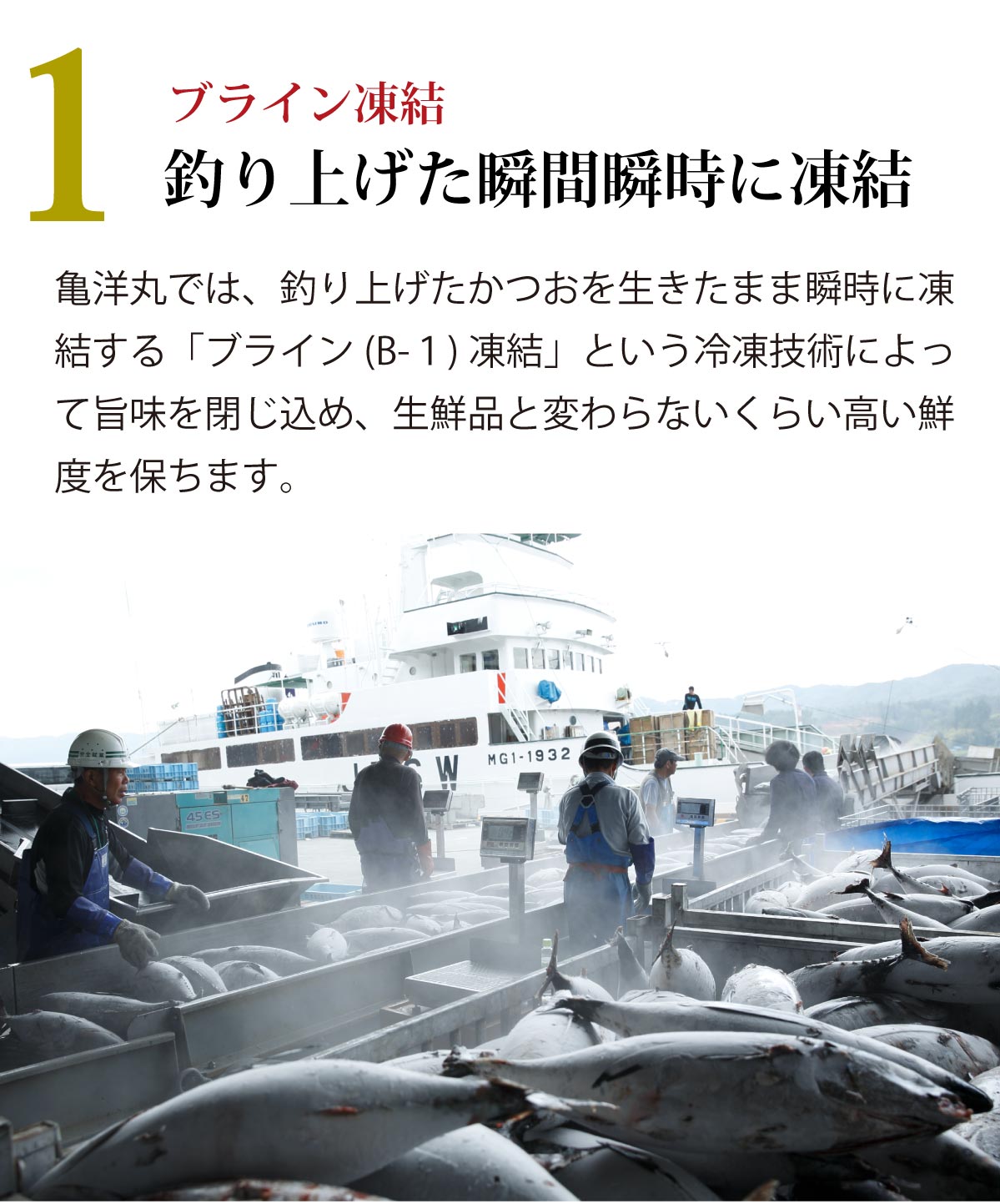 気仙沼産 一本釣り 戻り鰹 刺身用 トロ鰹 600g前後 2〜3節 第18亀洋丸水揚げ 気仙沼港直送 通年通して旬の戻り鰹を楽しめる 南三陸ホテル観洋  阿部長商店 :kiyoumaru-2:南三陸 復興ストア - 通販 - Yahoo!ショッピング