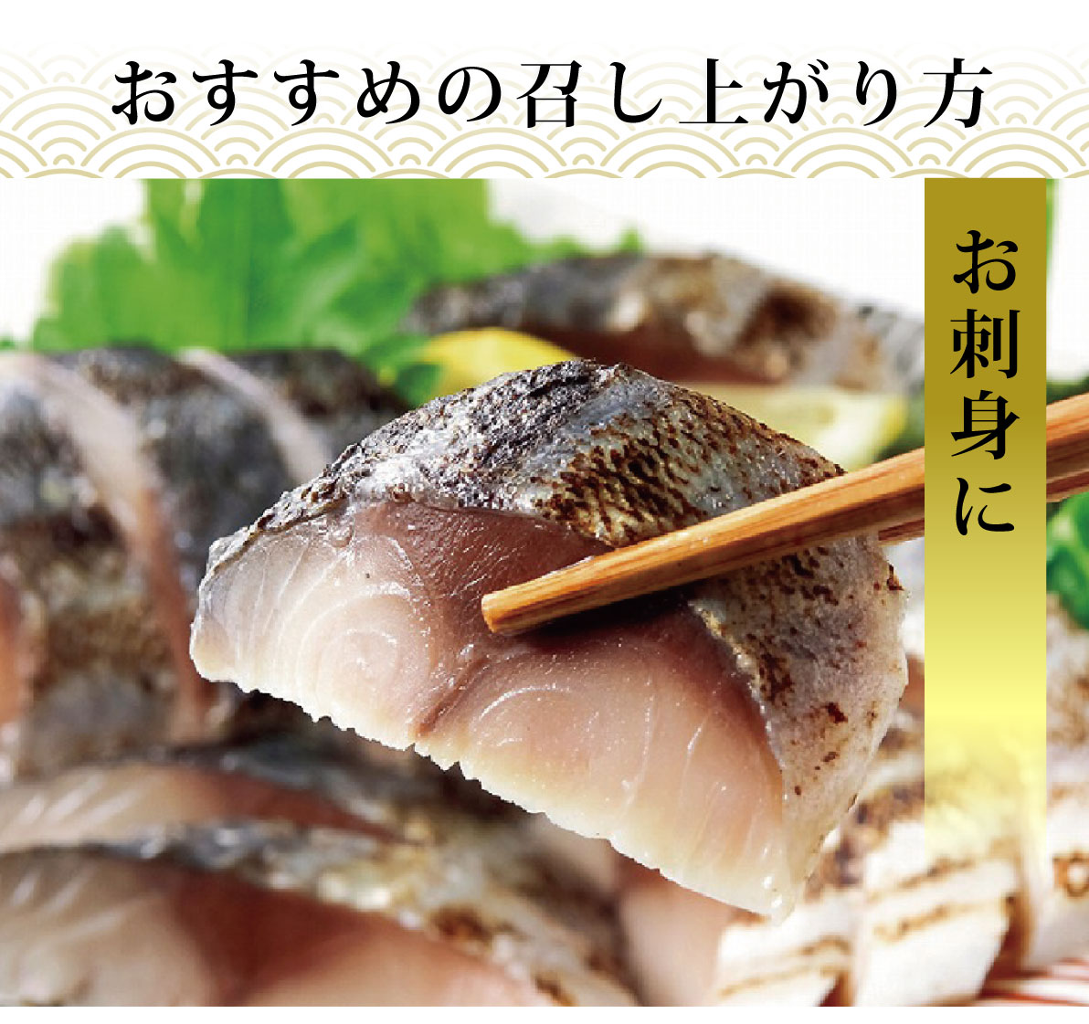 鳥取の しめさば フィーレ 10パックセット 冷凍 送料無料 鳥取県境港産サバ使用 シメサバ お中元ギフト