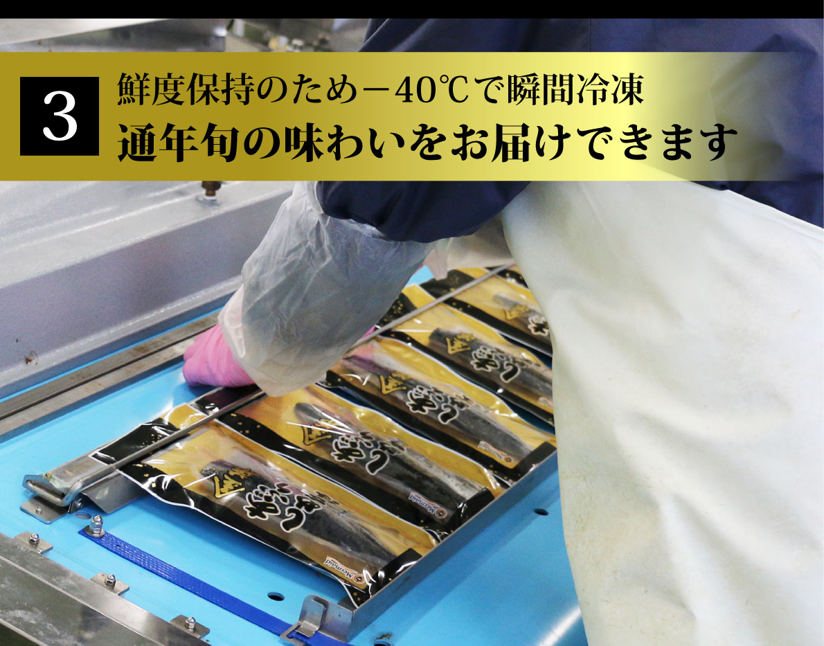 父の日 お中元 しめ鯖 シメサバ 金華あぶりしめさば 半身１枚入 ３ 