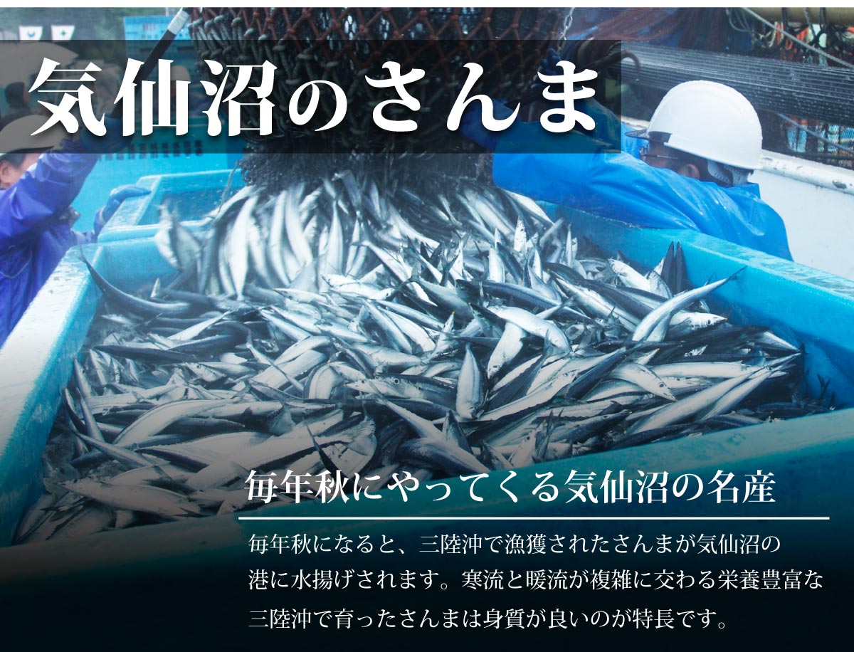 水揚げ次第順次発送＞三陸 気仙沼産 生さんま 15尾 鮮サンマ 秋刀魚 産地工場直送 宮城県 南三陸ホテル観洋 阿部長商店 :sk-sn20-01: 南三陸 復興ストア - 通販 - Yahoo!ショッピング