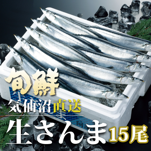 {錧 CY V   15 NT} H YnH꒼ g揇 {錧 Ozeϗm X