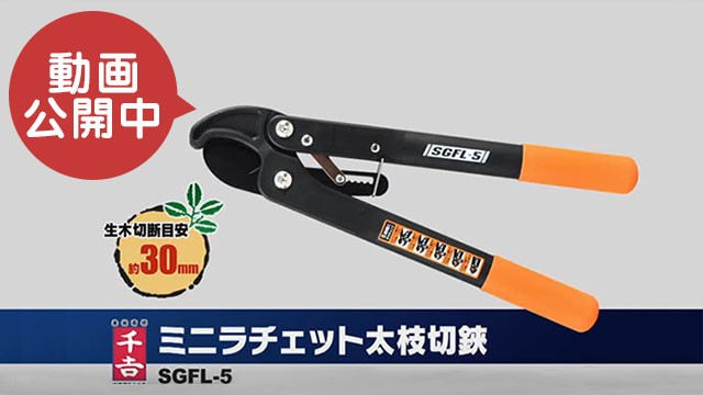 即納】 千吉 ミニラチェット太枝切鋏 SGFL-5 1コ入 fucoa.cl