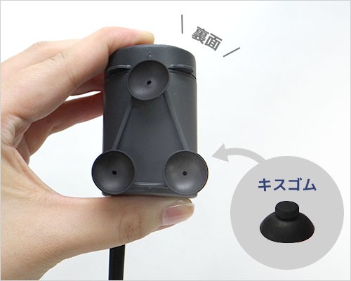 エーハイム 水中ポンプ コンパクトオン300 50hz 東日本用 流量170 300l H 淡水 海水両用 Eheim ミナト電機工業 通販 Paypayモール