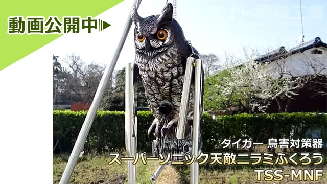 動画リスト