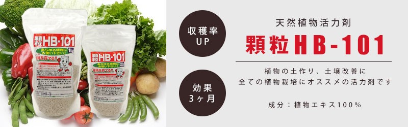 植物活力剤、顆粒、1Kg Amazon | フローラ(Flora) 植物活力剤 HB-101 緩効性 顆粒 1kg