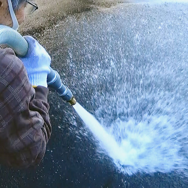 mt-0024630_1.jpg