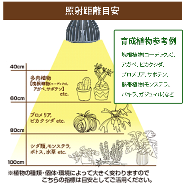 ゼンスイ PLAAREA 植物育成 LEDライト EverSun 365 [ゼンスイ