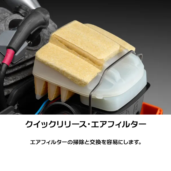 ハスクバーナ（Husqvarna） エンジンチェーンソー 365 X-TORQ 20HN