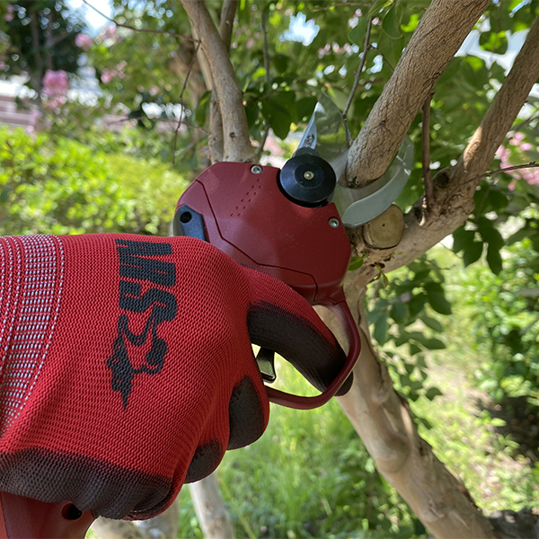 アルス 充電式 剪定鋏 EP-719-25 スゴセンライト 三男 ARS 電動