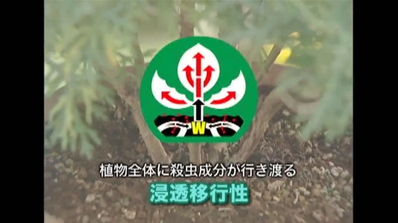 住友化学園芸 園芸用 殺虫剤 オルトランDX粒剤 1kg ｜ 爆音機・殺虫器,その他防虫・防鳥用品の通販・販売ならミナトワークス