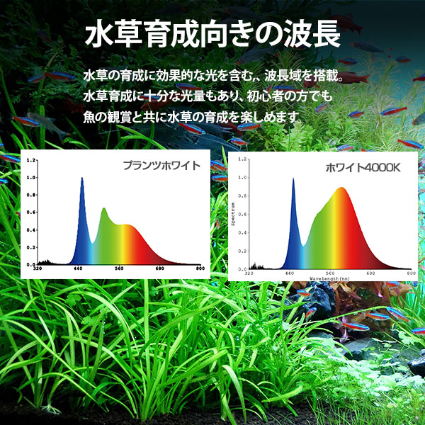 ゼンスイ LEDライト 120cm水槽用 マルチカラーLED 1200 (リモコン付き) [LEDランプ 照明 鑑賞魚 熱帯魚 水草]