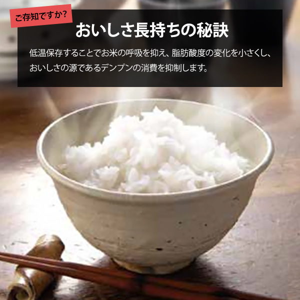 アルインコ　定温米びつクーラー　米こさん　保冷庫　米櫃]　[ALONCO　(容量31kg／白米・玄米用冷蔵庫)　TRA31　MAIKOSAN