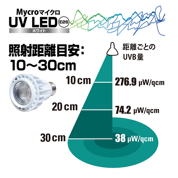 マイクロ UV LED E26 ホワイト ストロングスタンドセット [ゼンスイ 爬虫類 鳥類 保温球]｜minatodenki｜03