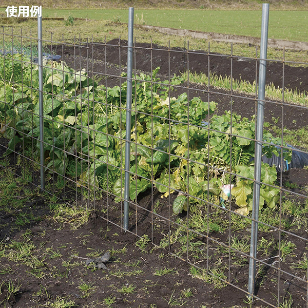 防獣パイプ スチール 支柱 Φ19mm 1800mm 30本セット[防獣ネット 防獣柵