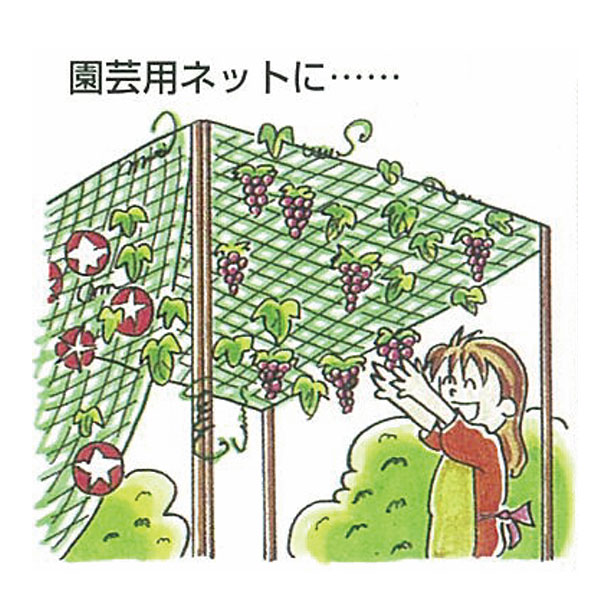 アイディアネット　3m×5m  多目的ネット Amazon.co.jp: 多目的ネット 3m×5m B-2535 : DIY・工具・ガーデン