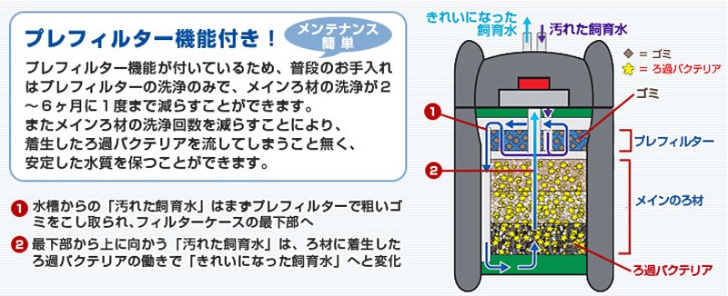 安い定番 エーハイム ミナト電機工業 - 通販 - PayPayモール プロフェッショナル4 2273 (75cm〜90cm水槽用/淡水・海水両用)  通販在庫 - hualing.ge