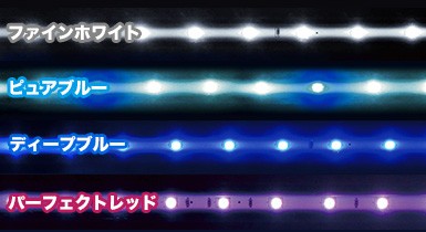ワイト・ピ ゼンスイ (ファインホワイト/ピュアブルー/ディープブルー
