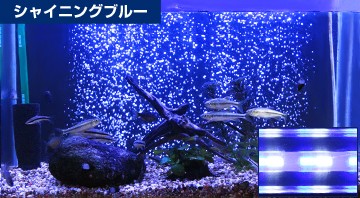 ゼンスイ 水槽用LEDランプ PLUS 120cm (パーフェクトクリア