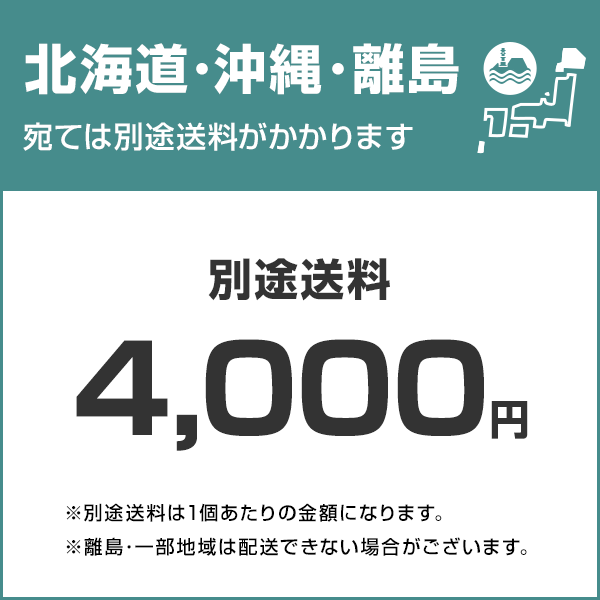 三相電機　浅井戸ポンプ　PAZ-2531　(単相100V250W)　[タンクレス浅井戸ポンプ]