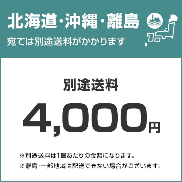 三相電機　浅井戸ポンプ　PAZ-1531　(単相100V150W)　[タンクレス浅井戸ポンプ]