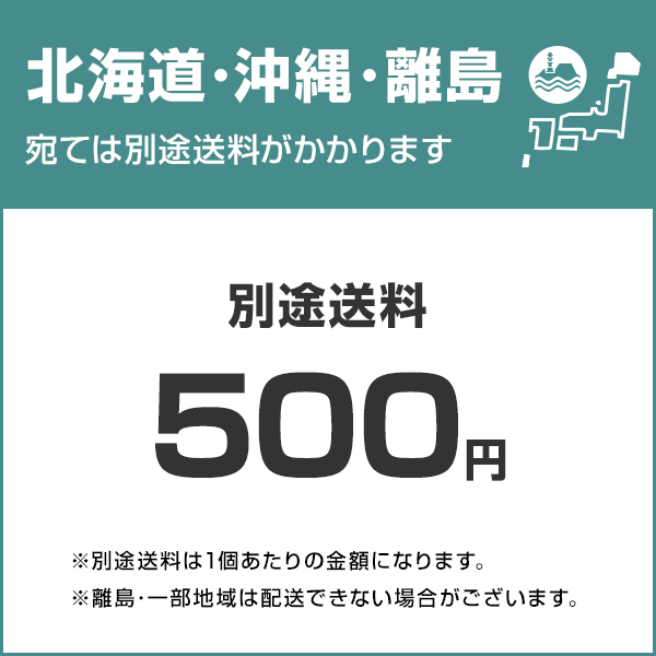 ジェット水流撹拌器 ダブル噴口タイプ (高圧ホース5m付き) 関連画像2