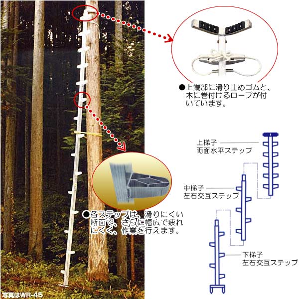 ハラックス 枝打ち梯子 ワンダ WR-60 (有効長605cm) [ハシゴ はしご