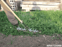 向井工業 手押し中耕除草機 たがやすパワーTP-50 (耕巾5cm