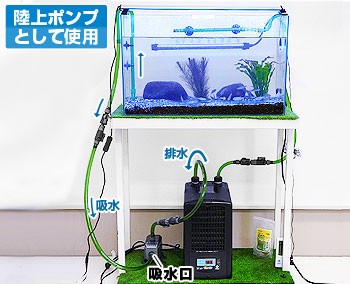 エーハイム 水陸両用ポンプ 1260 (流量2400L/h、淡水・海水両用