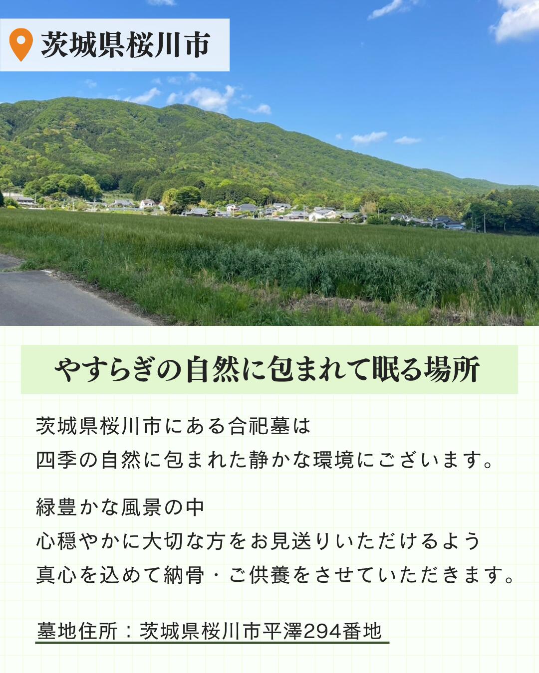 商品画像5