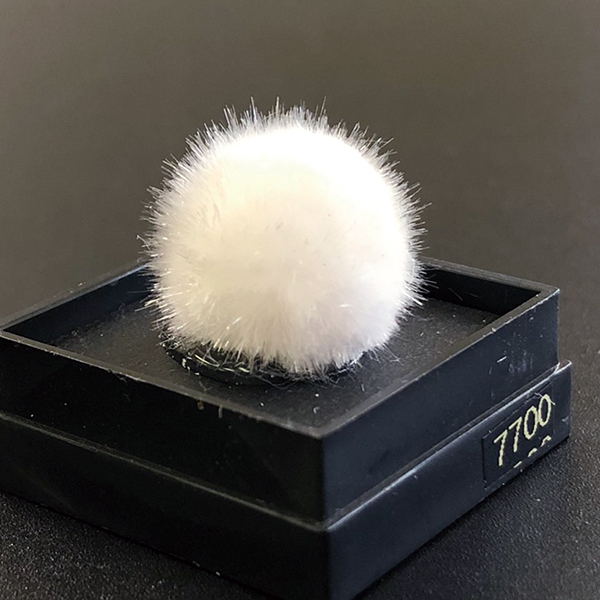 オーケン石 オケナイト（Okenite)直径約14mm コレクションケース付
