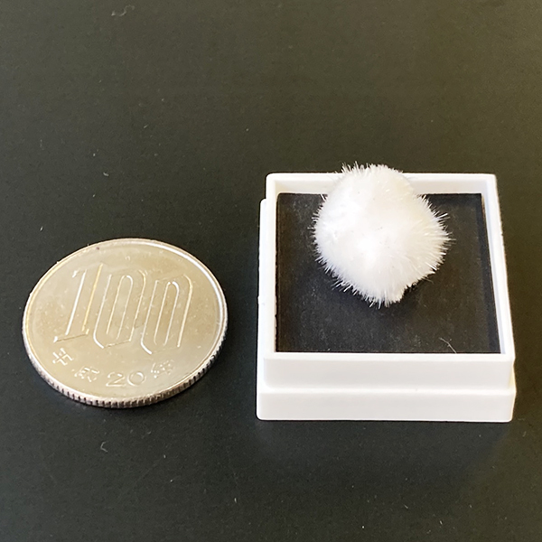 オーケン石 オケナイト（Okenite)直径約12mm コレクションケース付