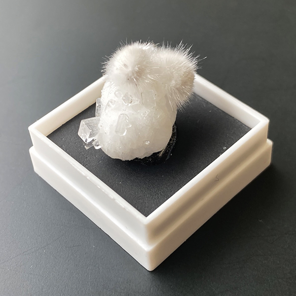 オーケン石 オケナイト（Okenite)直径約16mm コレクションケース付
