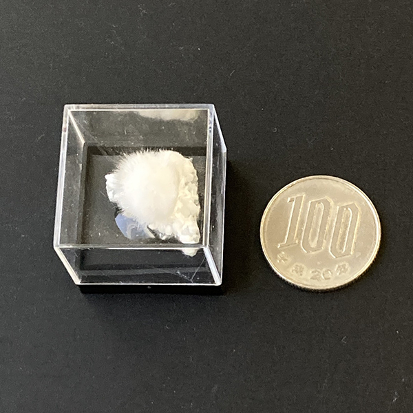 オーケン石 オケナイト（Okenite)直径約20mm コレクションケース付