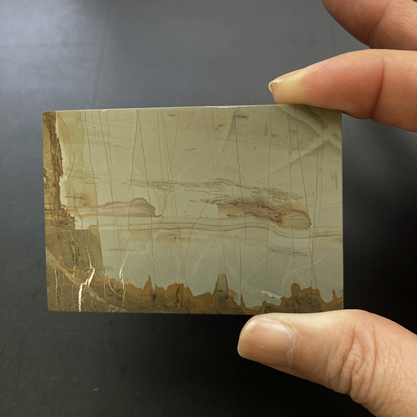 パエジナストーン（約67×47ミリ） : Mineral&Fossil - 通販 - Yahoo