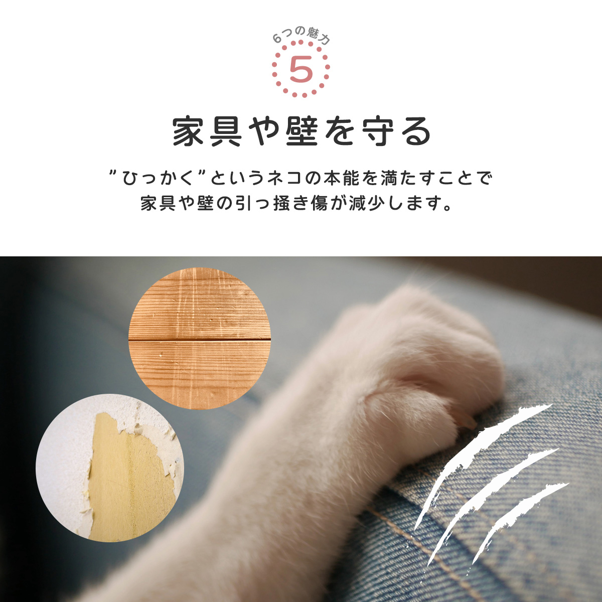 猫 爪とぎ 爪磨き マジック オルガン 折り畳み式 両面使える 玩具 丸形