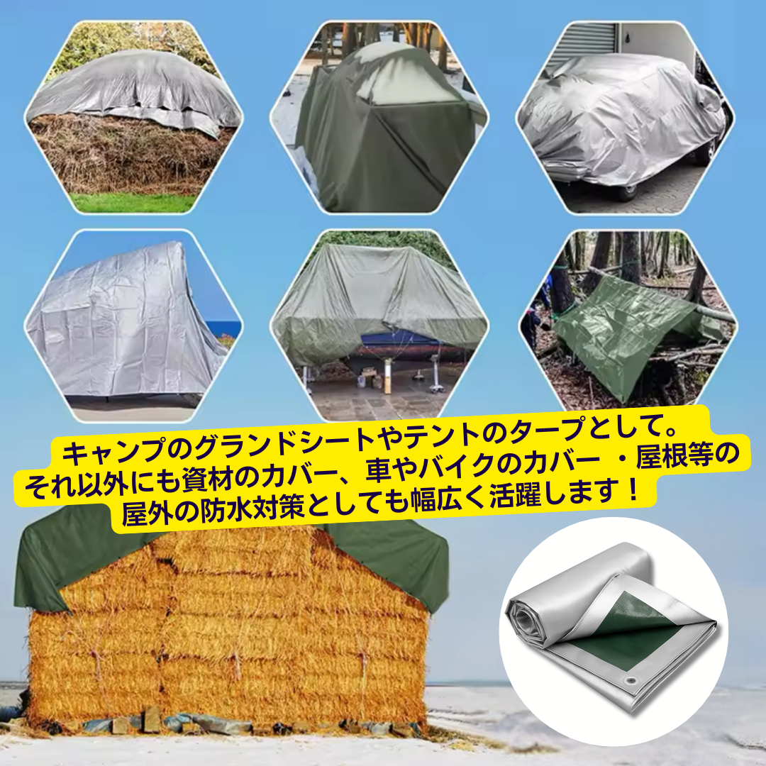 画像の説明