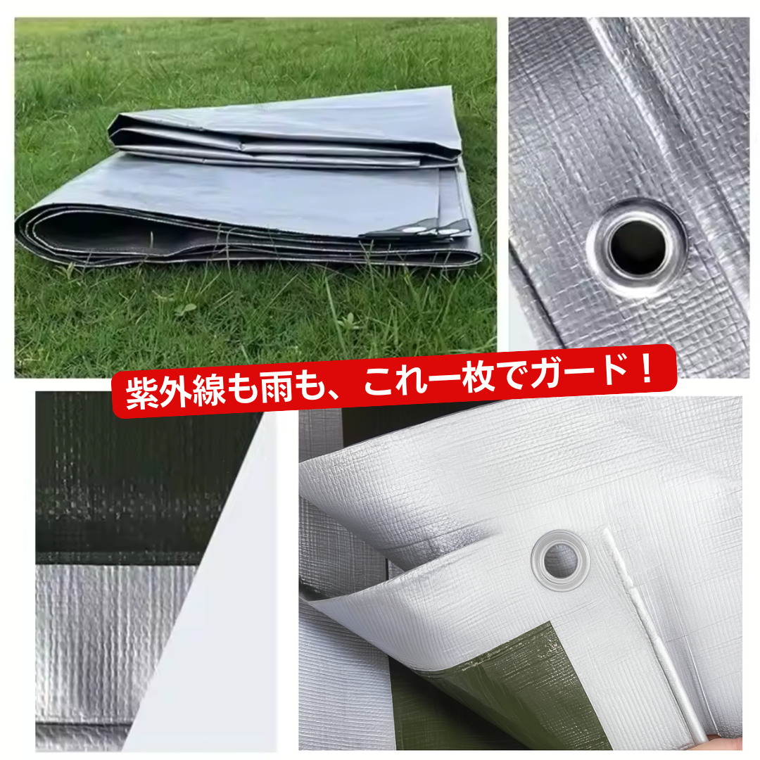画像の説明