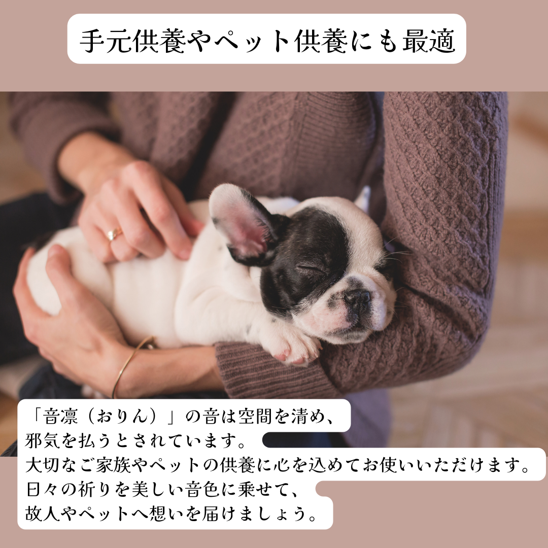画像の説明