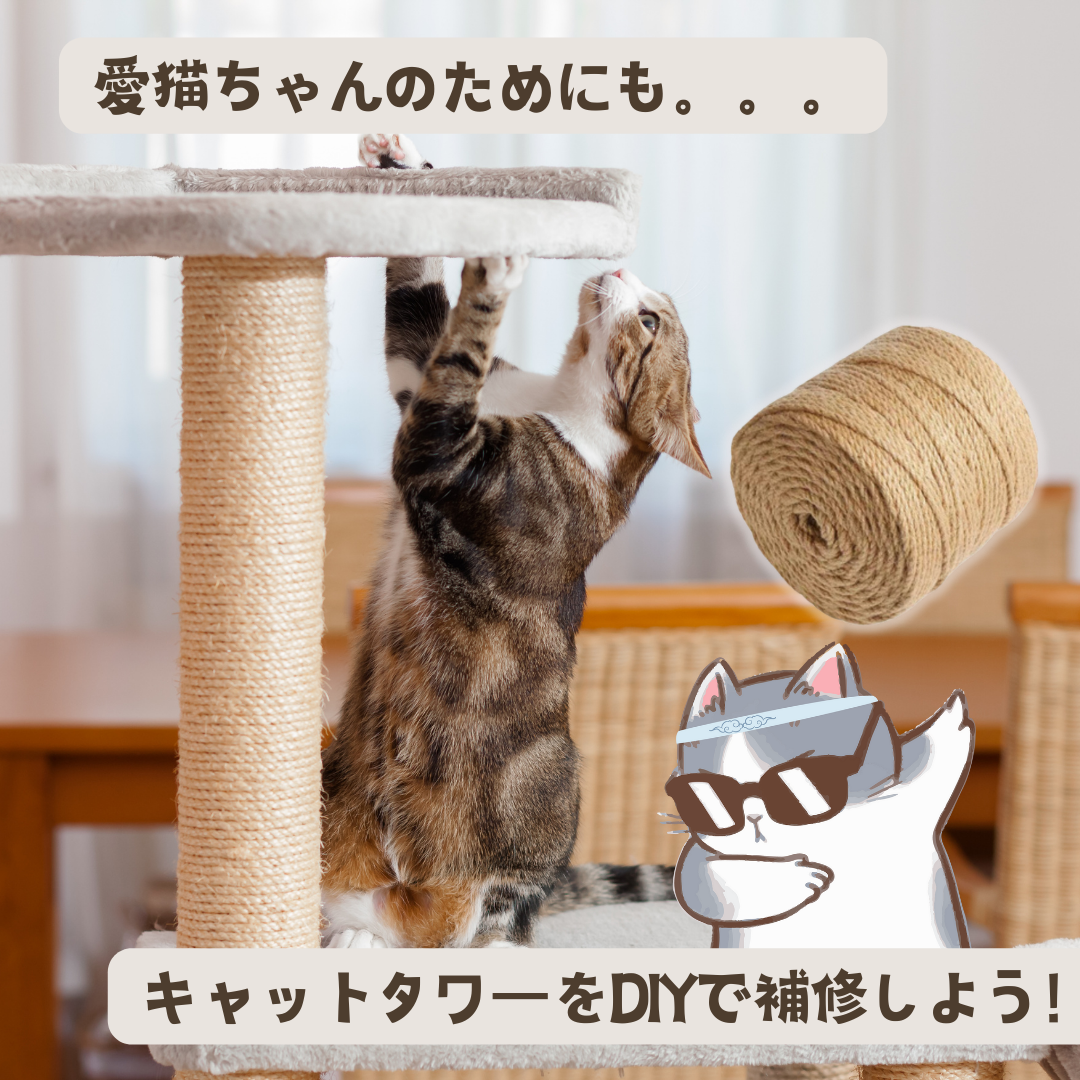 画像の説明