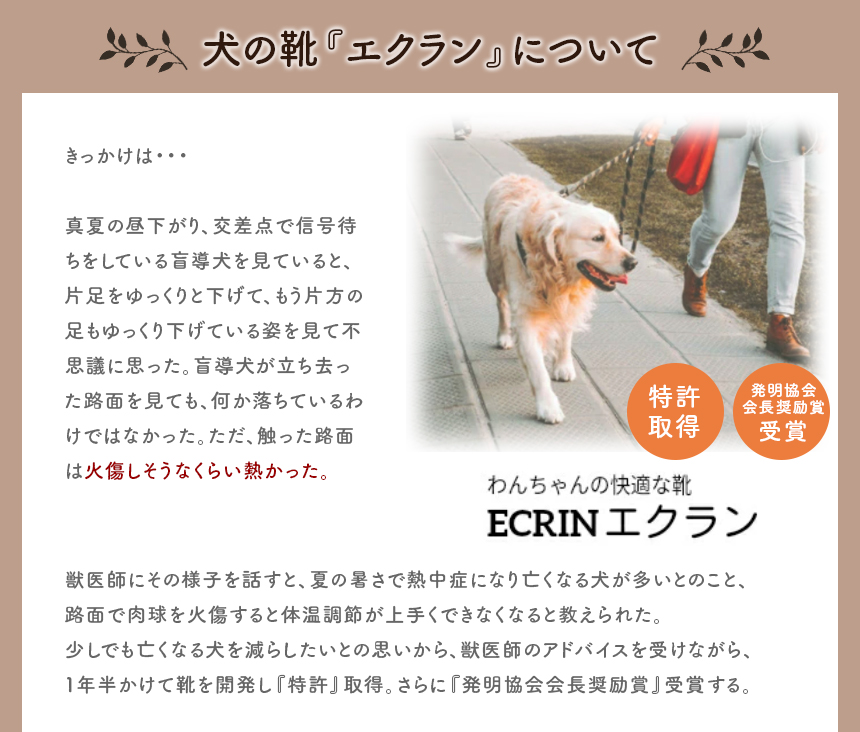 つま先ワイド5号6号】犬の靴 わんちゃんの「快適な靴」5号/6号 2本入