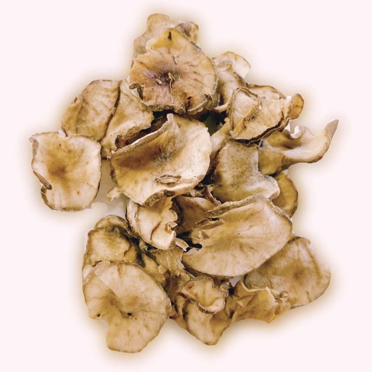 magnet_164282849200.jpg