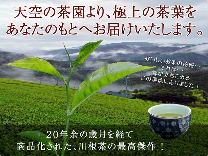 川根茶の最高傑作