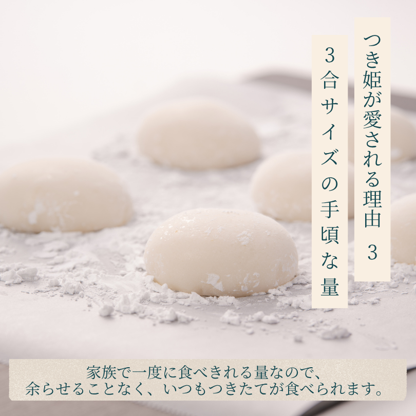 椿もちページです。 椿もち】‥みずみずしい緑の葉で挟んで‥日本最古の