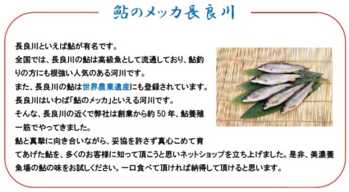 鮎養殖一筋有限会社美濃養魚場 - Yahoo!ショッピング