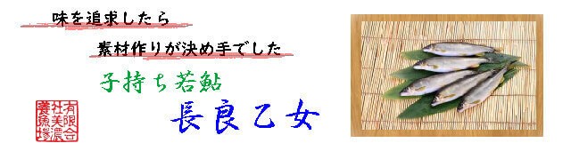 鮎養殖一筋有限会社美濃養魚場 - Yahoo!ショッピング