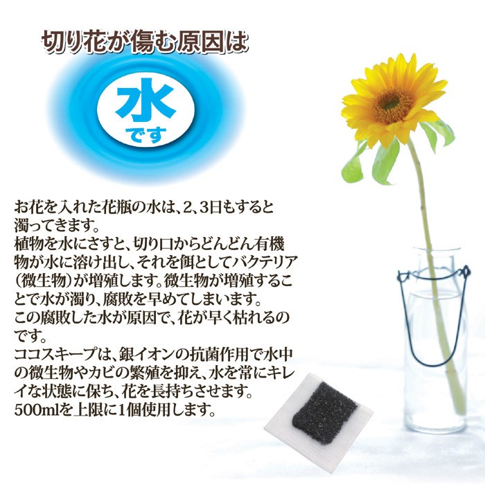 ココスキープ 12個入
