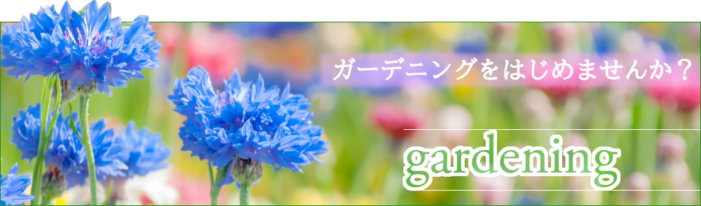 こづち本舗 - Yahoo!ショッピング