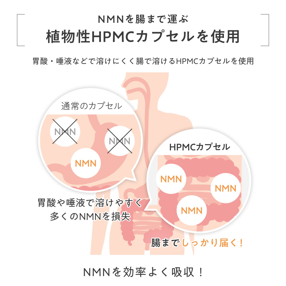 公式】ミライラボ NMNピュア9000プラス NMNサプリ 1ヶ月分 高純度99